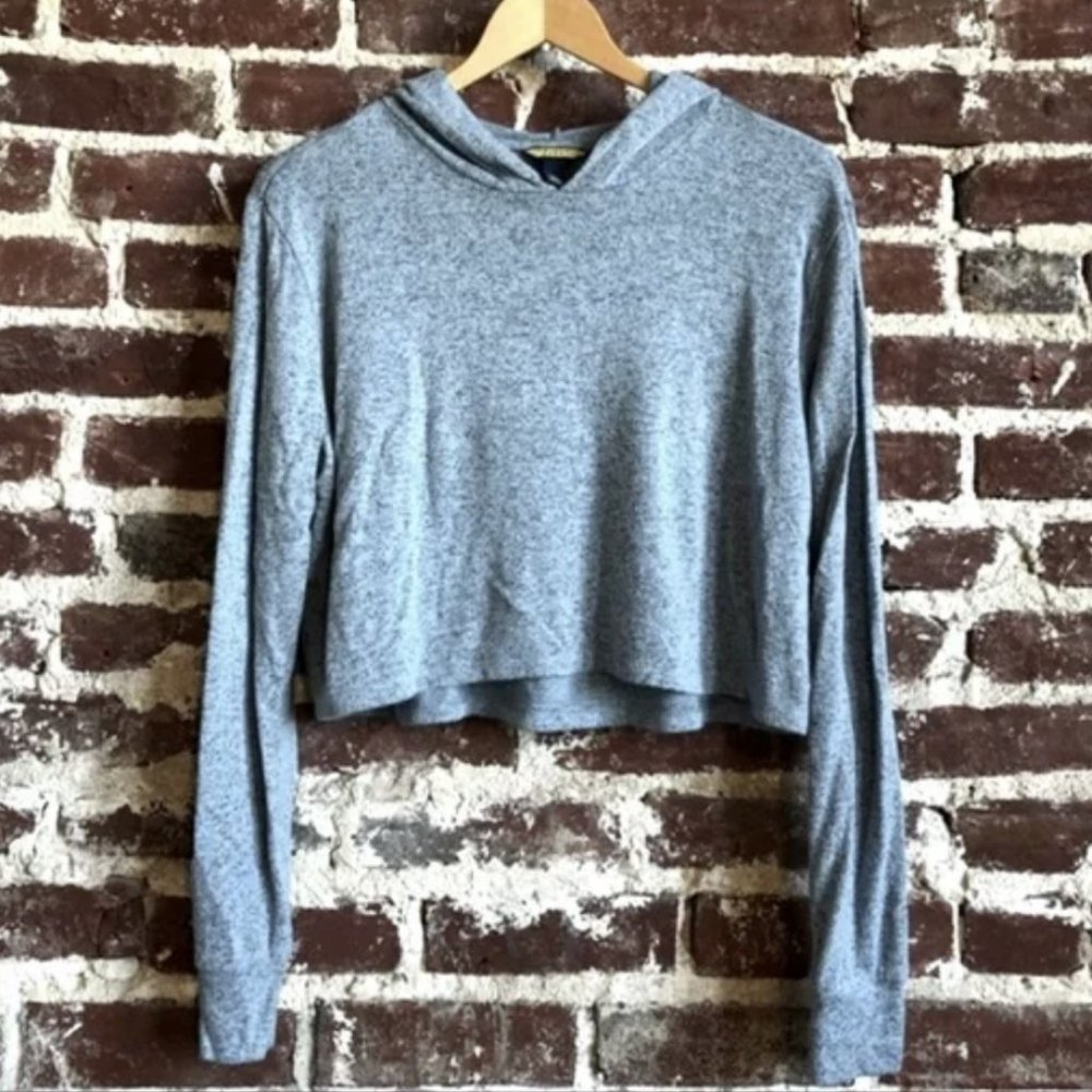 Prince and Fox Super Soft Cropped Hoodie XS